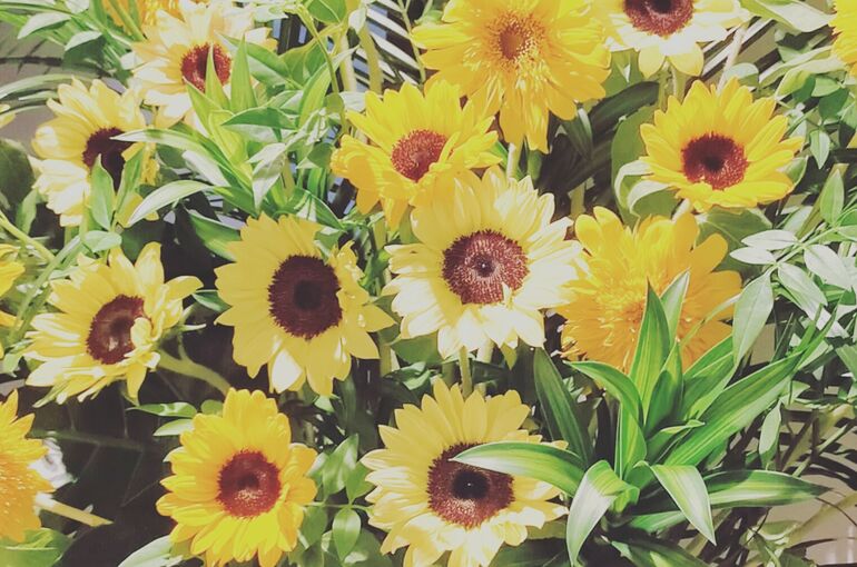 IMG_20230519_082607_157