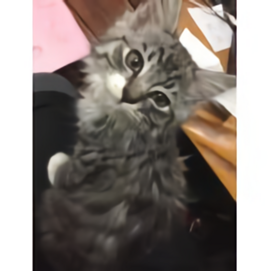 s150_20190916113106_waifu2x_photo_noise3_scale_tta_1