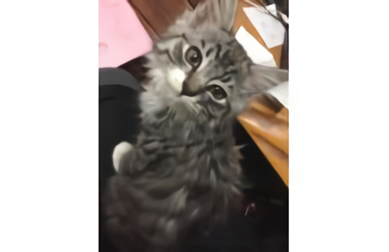 s150_20190916113106_waifu2x_photo_noise3_scale_tta_1
