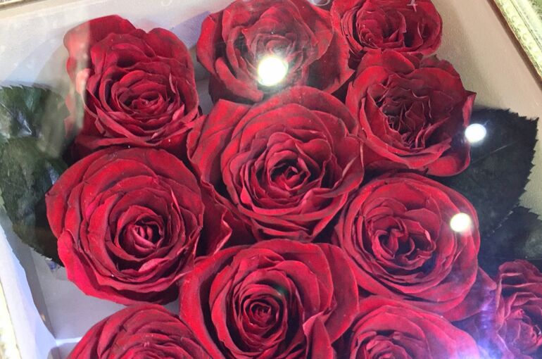 F18E6F28-ED01-4111-97B3-B6C7FBE70A32