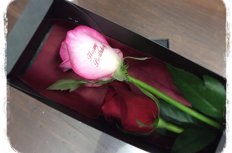 message-rose__04