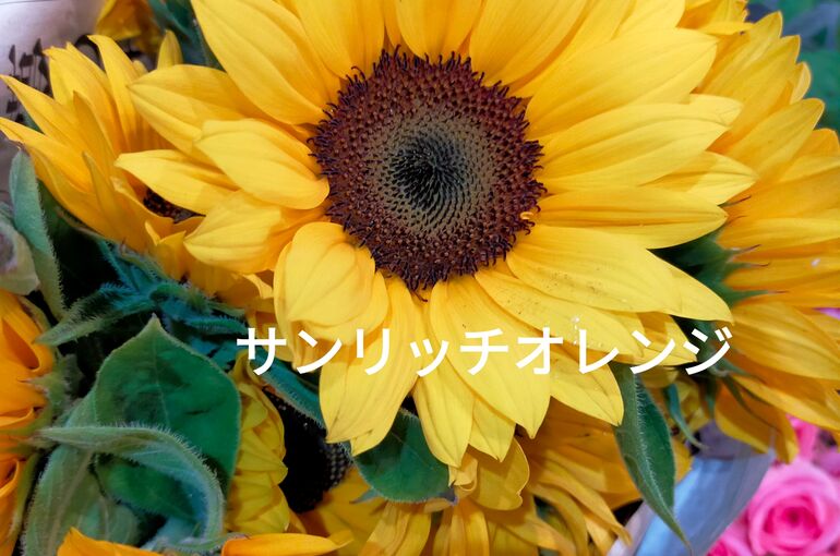 21-06-17-17-54-25-939_deco