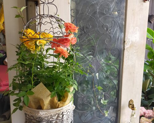 IMG20220425095504