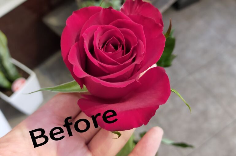 ダウンロード (6)