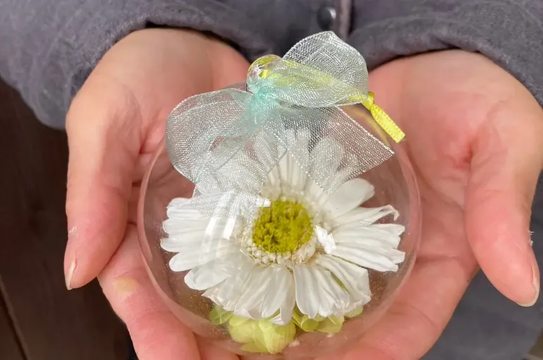 IMG_20230123_124727_482